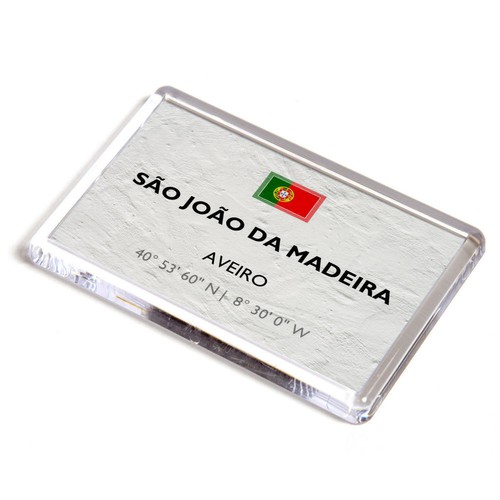 Fridge magnet sao - fridge,