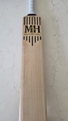 Millichamp and hall cricket - hall,