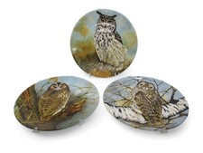 Set of 3 Coalport Fine Bone China Tawny owl Short Eared Owl & Eagle Owl Plates 