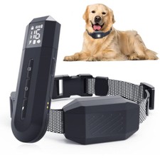 Dog Training Collar with