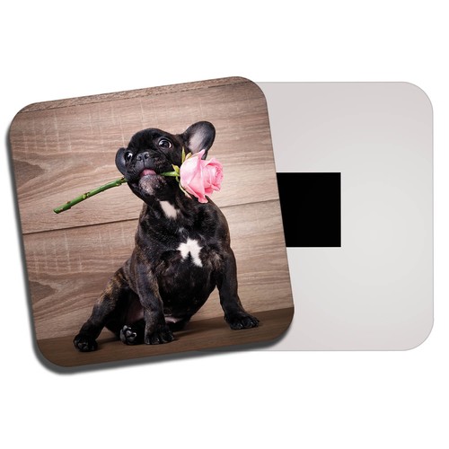 French bulldog puppy fridge - french,