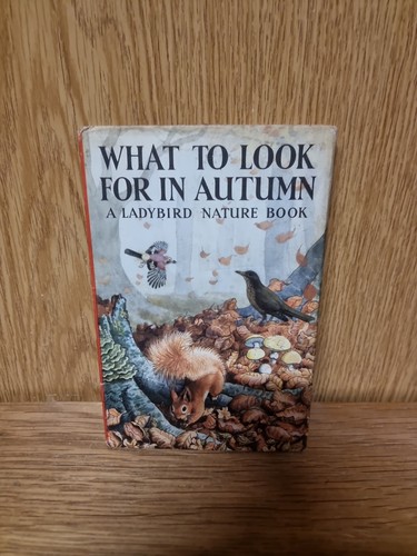 What look for autumn - to, in
