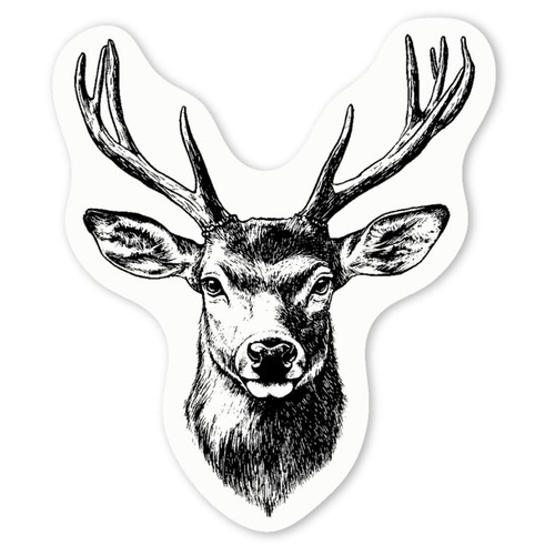 Red deer stag white - 'red,