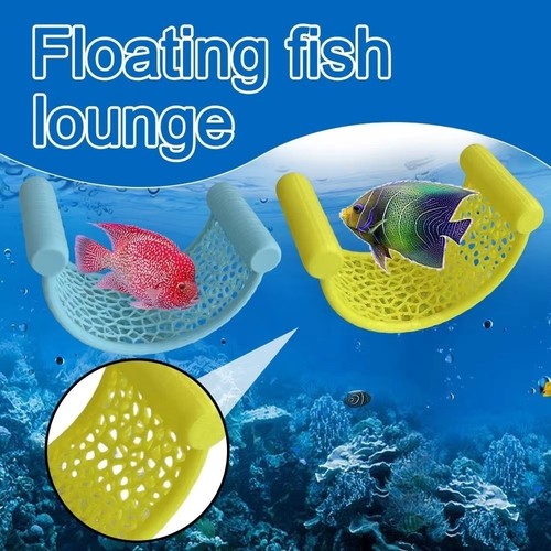 Floating betta fish - floating,