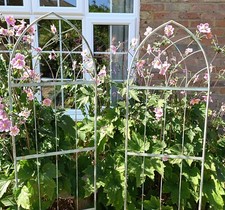 Arched Trellis Plant Support