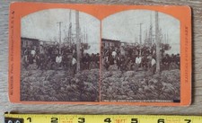 New Orleans River Boat MUGNIER LA Stereoview 335 Fruit Landing Sale Of Bananas