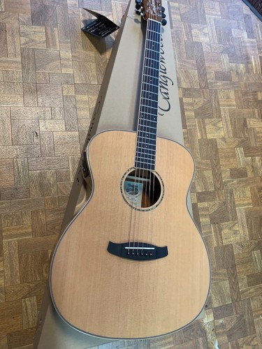 Tanglewood electro acoustic - tanglewood,,