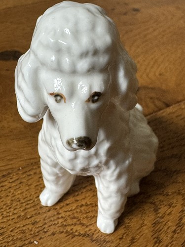 Vintage white french poodle - french,