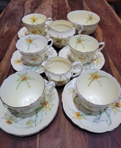 Crown staffordshire daffodils - staffordshire,