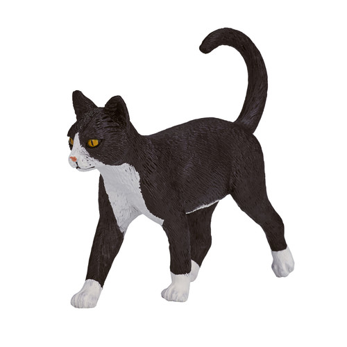 Cat black white - cat,