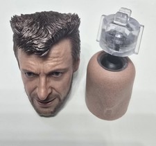 Hot Toys Wolverine (Classic Brown and Tan)  MMS831 1/6th headsculpt only