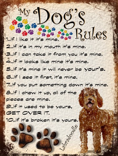 Dog rules retro style - my,
