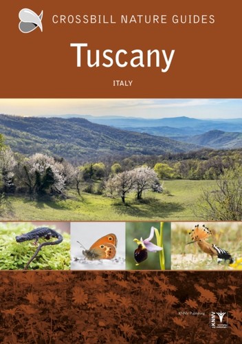 Tuscany italy graham - italy, by