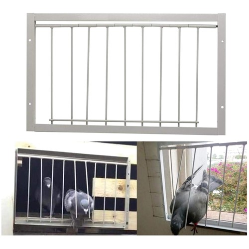 Racing pigeon door simple - racing,