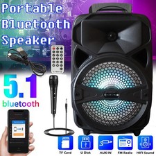1000W Portable Wireless DJ