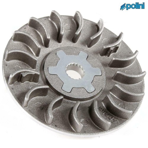Polini p244010 belt - p244010, for