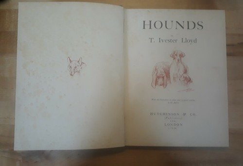Hounds ivester lloyd - hounds,
