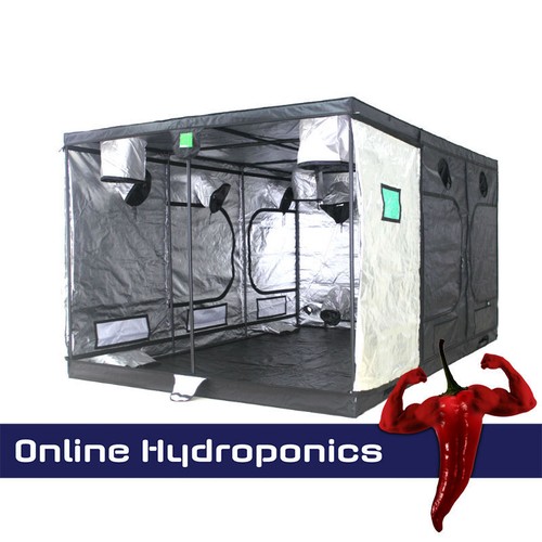 Budbox pro 4m - budbox, 2m