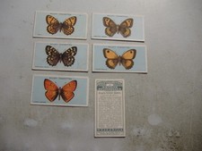 Wills cigarette cards British Butterflies (7610) 6 off variable condition