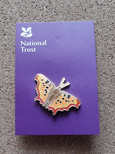 National trust boxhill comma - trust,