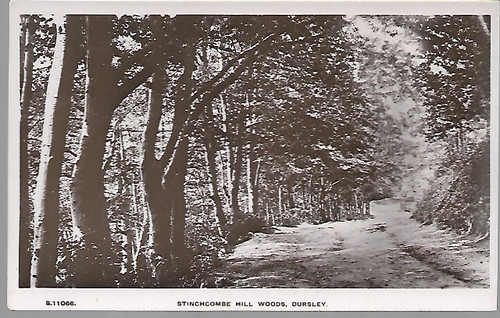 Stinchcombe hill - stinchcombe,
