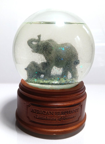 African elephant snow - african, globe