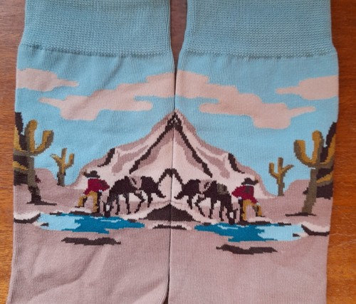 Novelty cowboy socks - novelty,