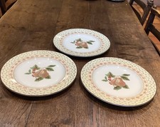 JOHNSON BROTHERS FRUIT SAMPLER
