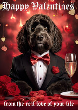 Black labradoodle valentines - labradoodle,