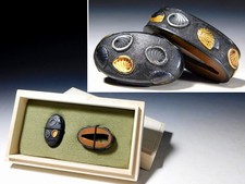 High quality abalone shells - high,