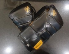 Hayabusa T3 Boxing Gloves
