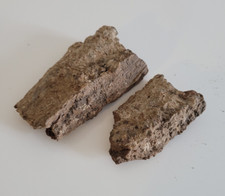 IGI NLA Bark, Asorin Tree