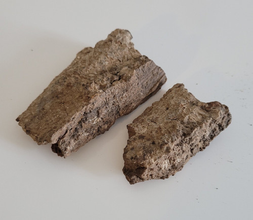 Igi nla bark - bark,, tree
