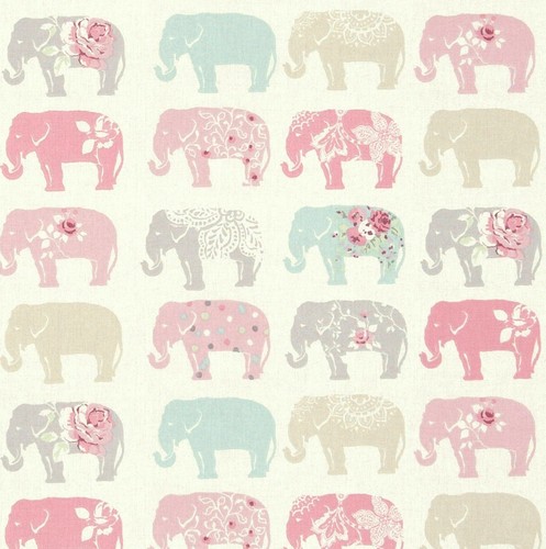 Clarke and elephant - clarke,