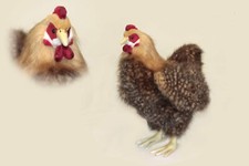 Hansa  Beige  Hen (Chicken)  Plush Soft Toy 4588  Brand New With Tags  UK Seller