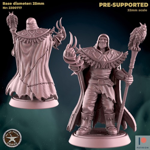 Human druid miniature - human, |