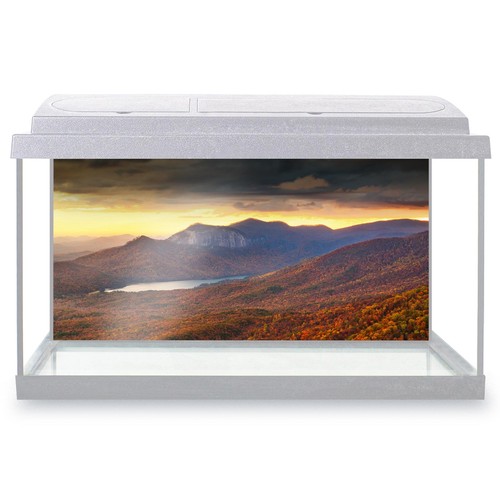 Fish tank background - tank,