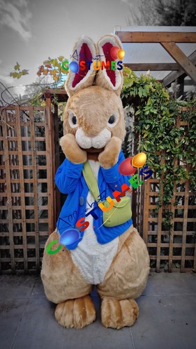 Rabbit bunny lookalike - bunny, costume