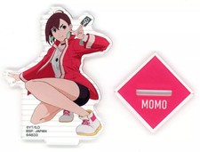 Acrylic stand/acrylic panel
