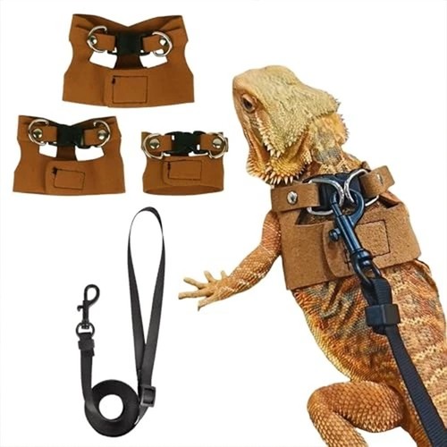 3pcs bearded dragon - 3pcs, harness