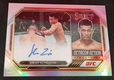 UFC Chan Sung Jung Octagon