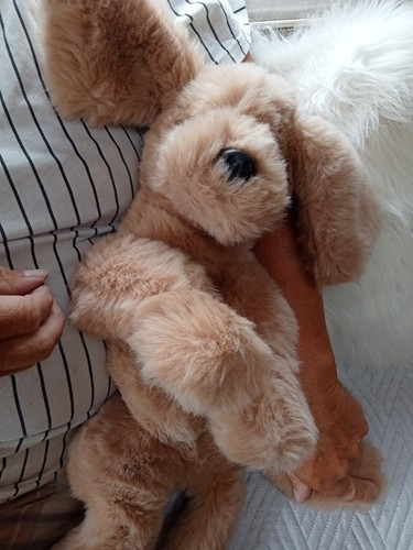Gund mutt golden - gund,