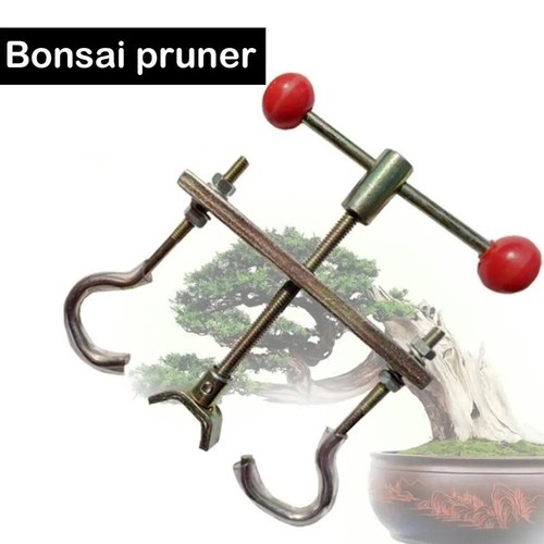 Set bonsai branch - bonsai,