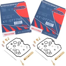 2x Carburetor Repair Kit for