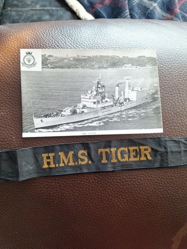 Hms tiger photo - tiger,