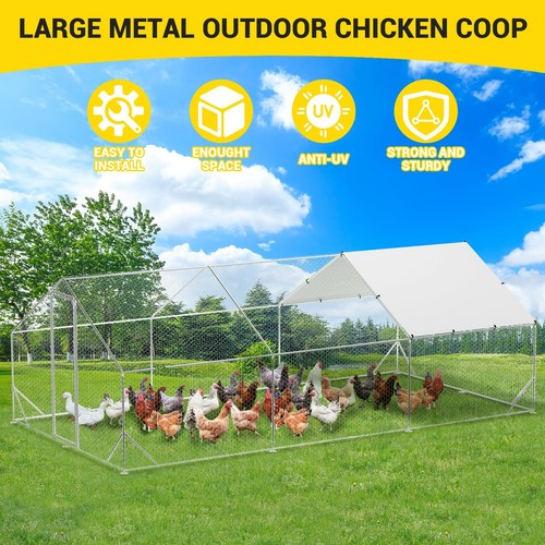 Large metal chicken - 20, 10