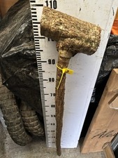 HAZEL Huge SHANK WALKING STICK