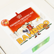 Grow Your Own Chilli Kit