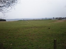 Photo 6x4 Pasture Land West of