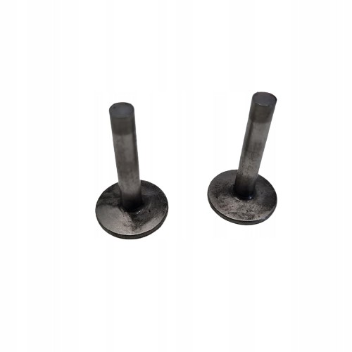 Tecumseh vantage valve - tecumseh,